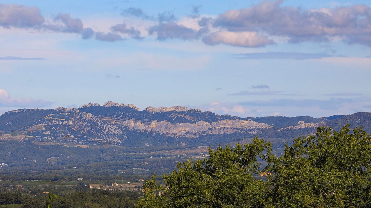 Photo of Others in Malemort-du-Comtat