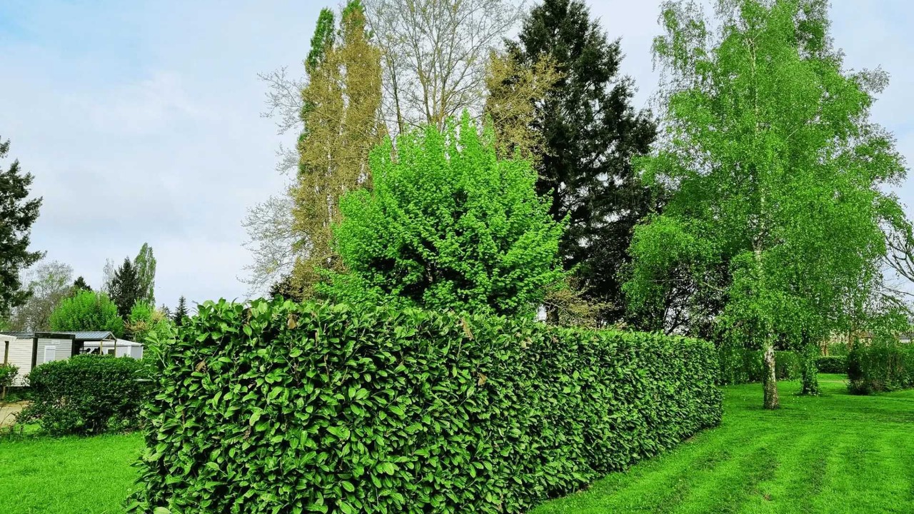 Photo of Outdoor in Charlieu