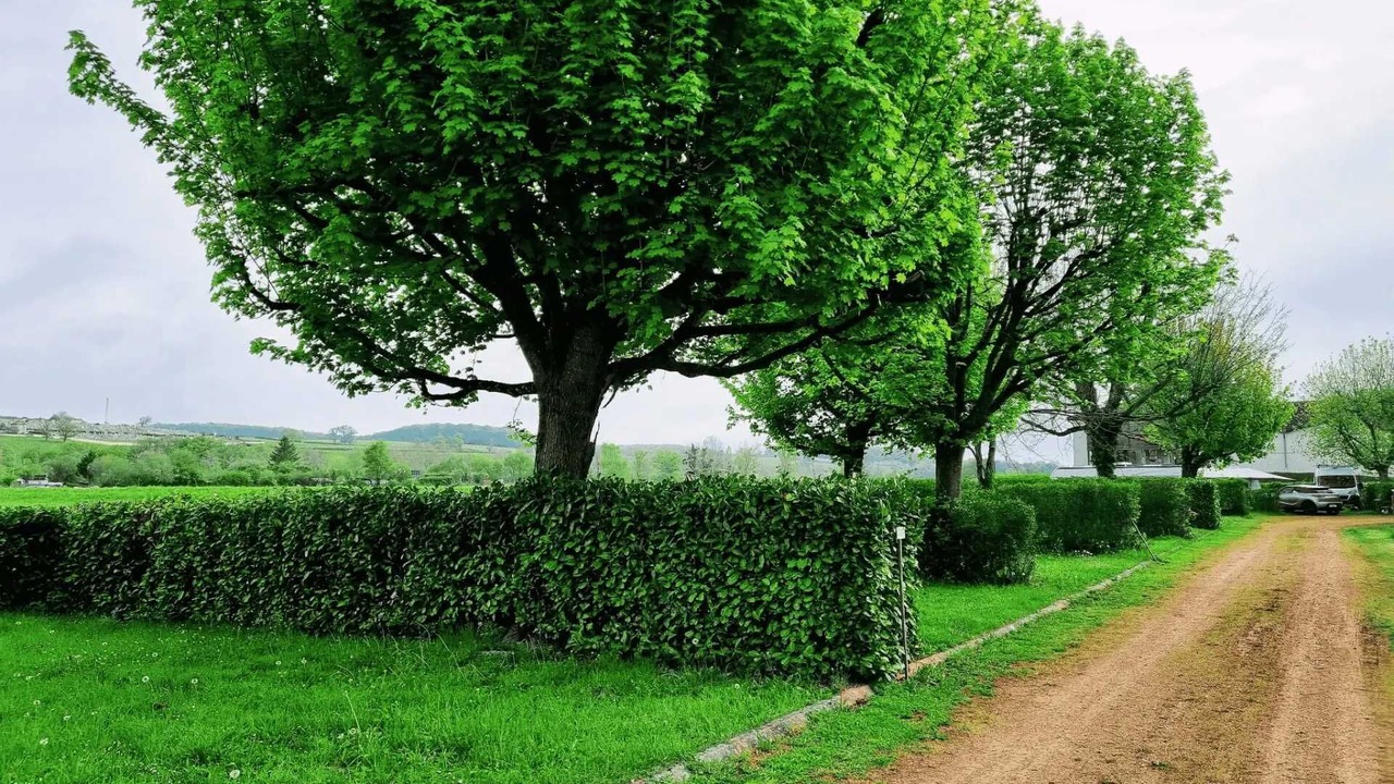 Photo of Outdoor in Charlieu