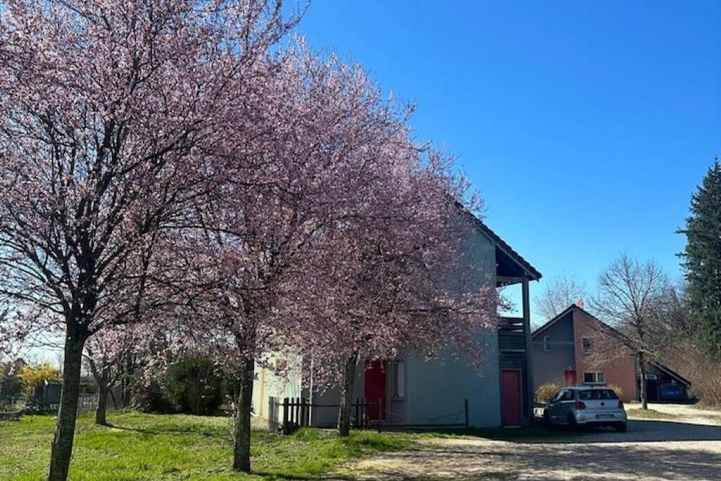 Photo of Outdoor in Chilly-le-Vignoble