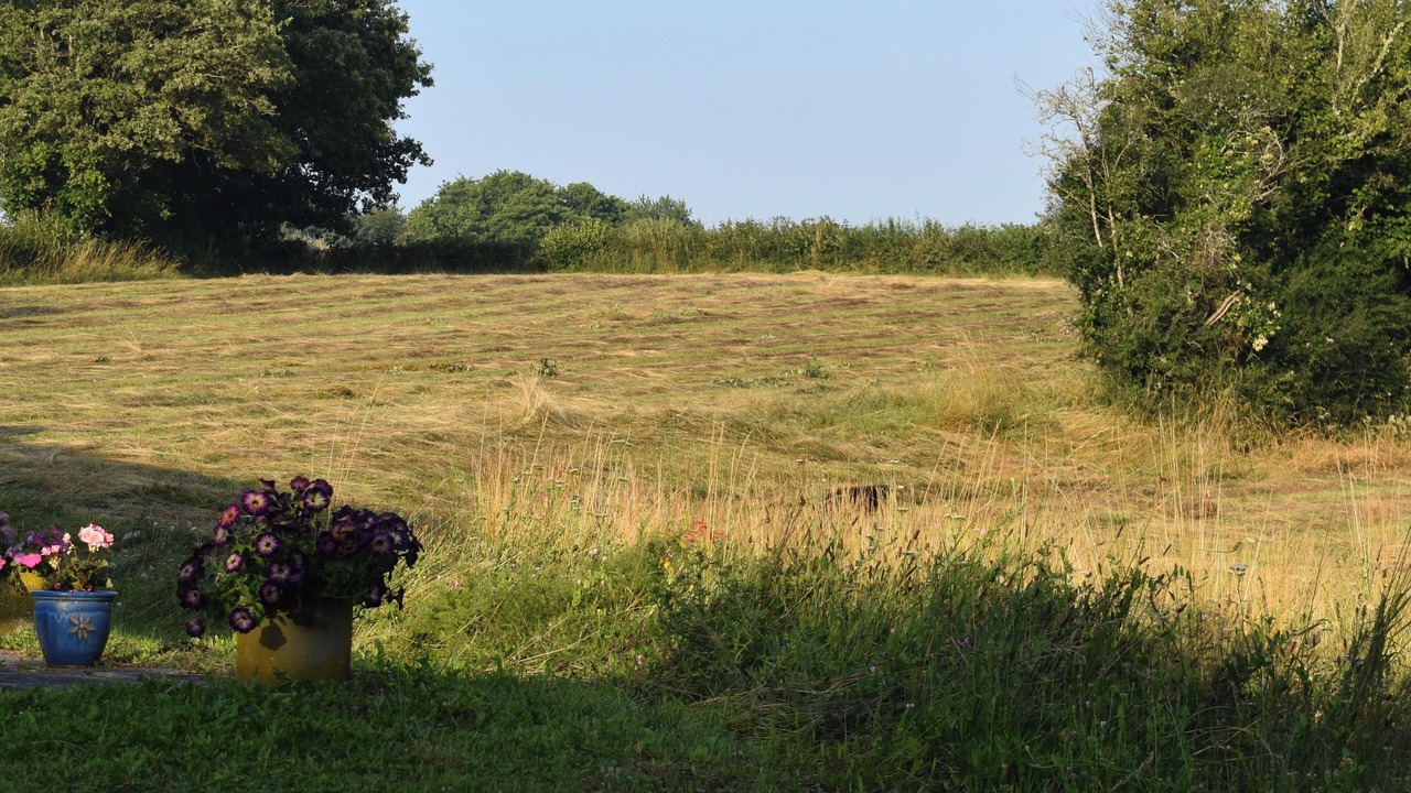 Photo of Outdoor in Issy-l'Eveque
