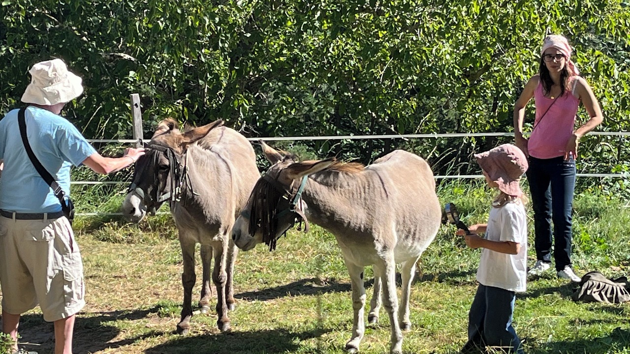Photo of Others in Saint-Agreve