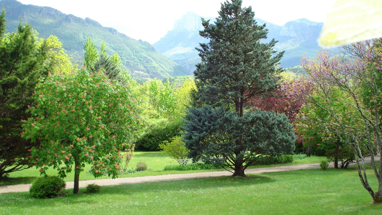 Photo of Outdoor in Saillans