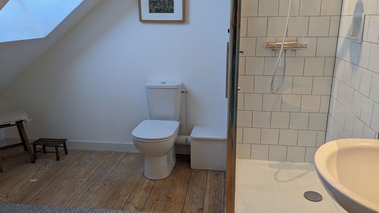 Photo of Bathroom in Saint-Maurice-des-Champs