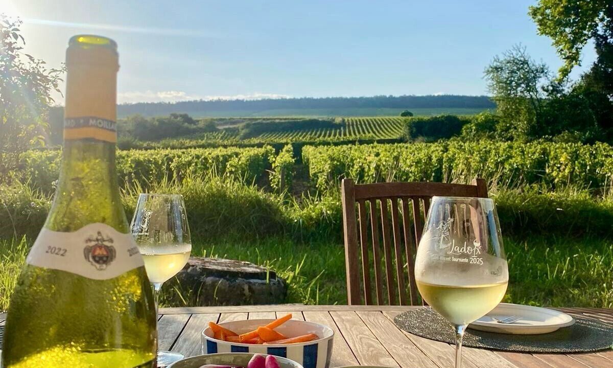 Photo of Outdoor in Ladoix-Serrigny