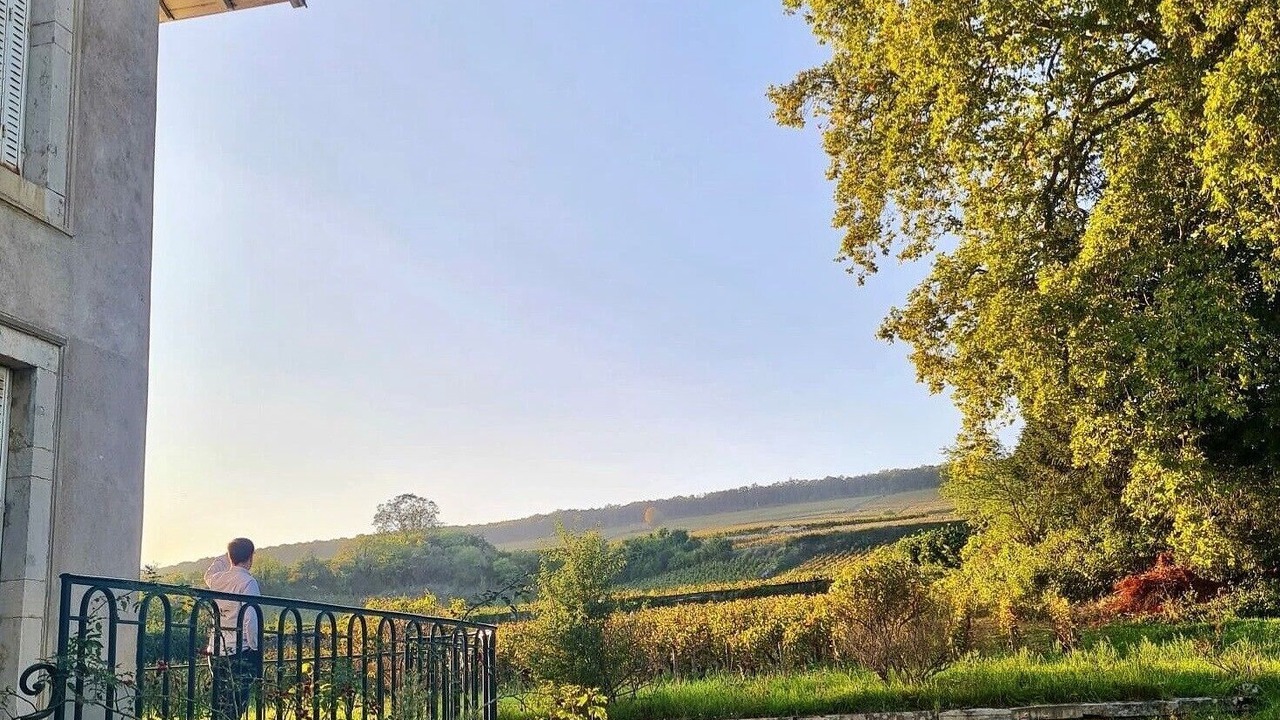 Photo of Outdoor in Ladoix-Serrigny
