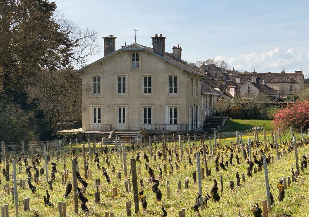 Photo of Others in Ladoix-Serrigny