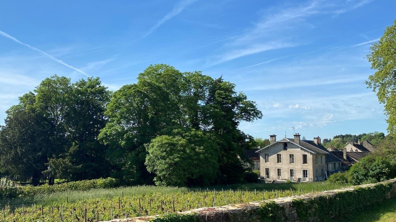Photo of Outdoor in Ladoix-Serrigny