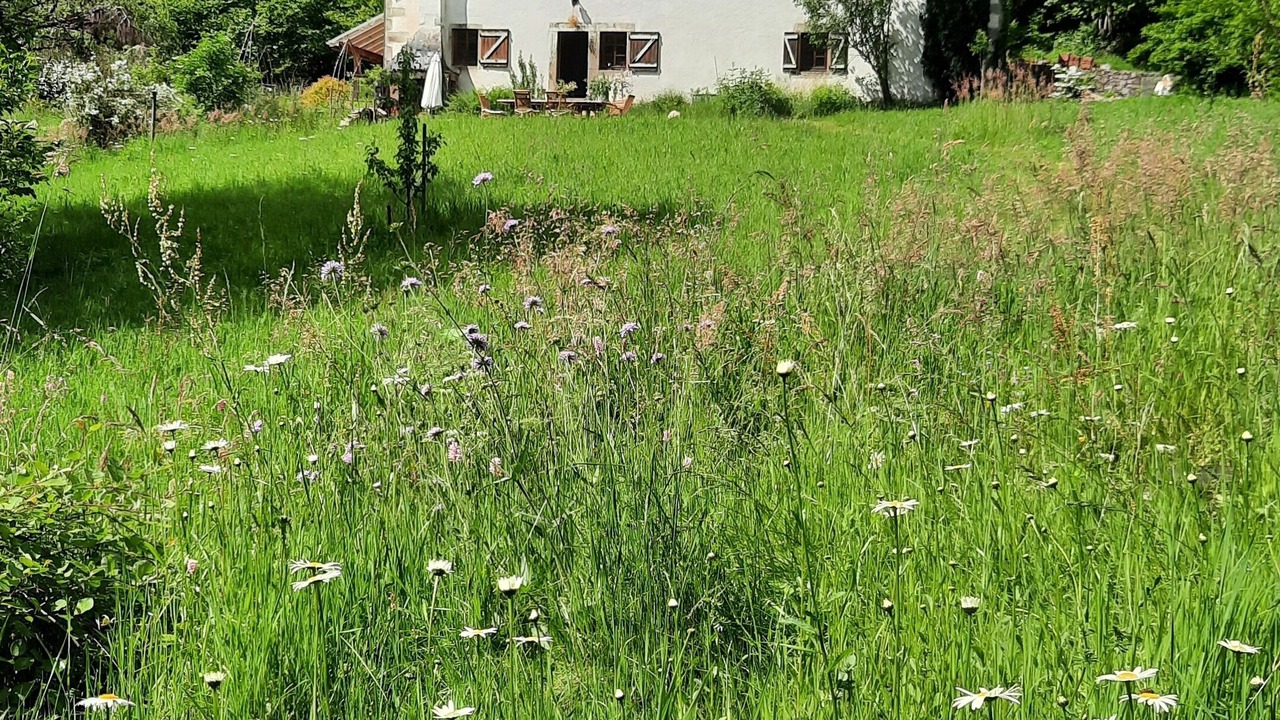 Photo of Outdoor in Francourt