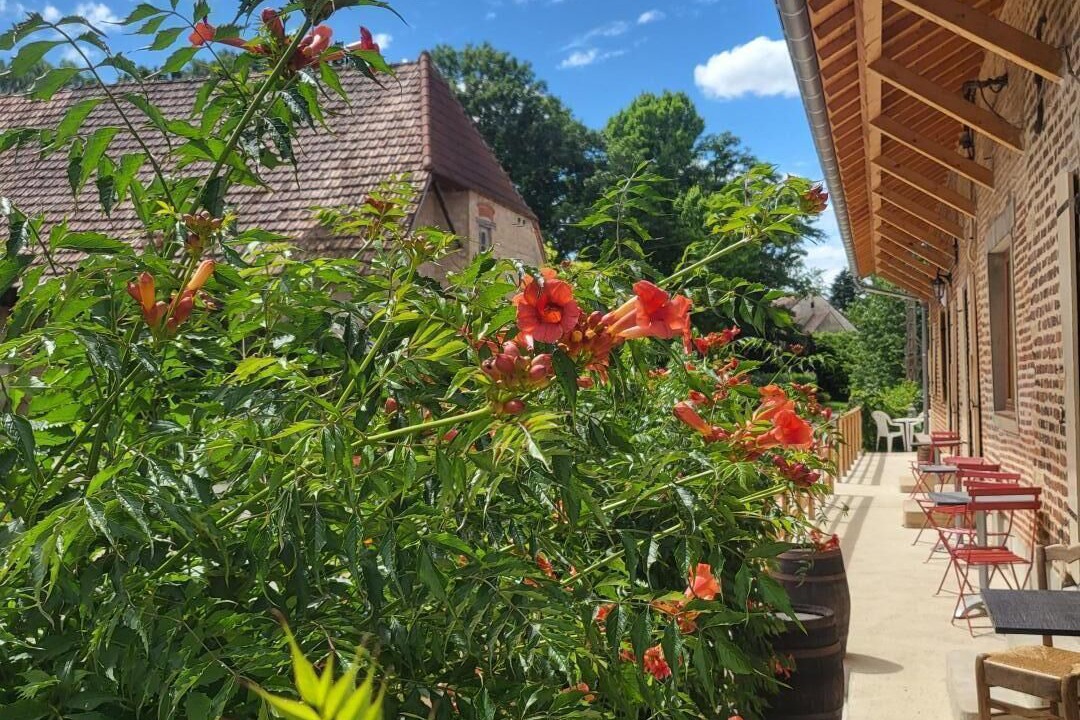 Photo of Patio Balcony in La Chapelle-Saint-Sauveur