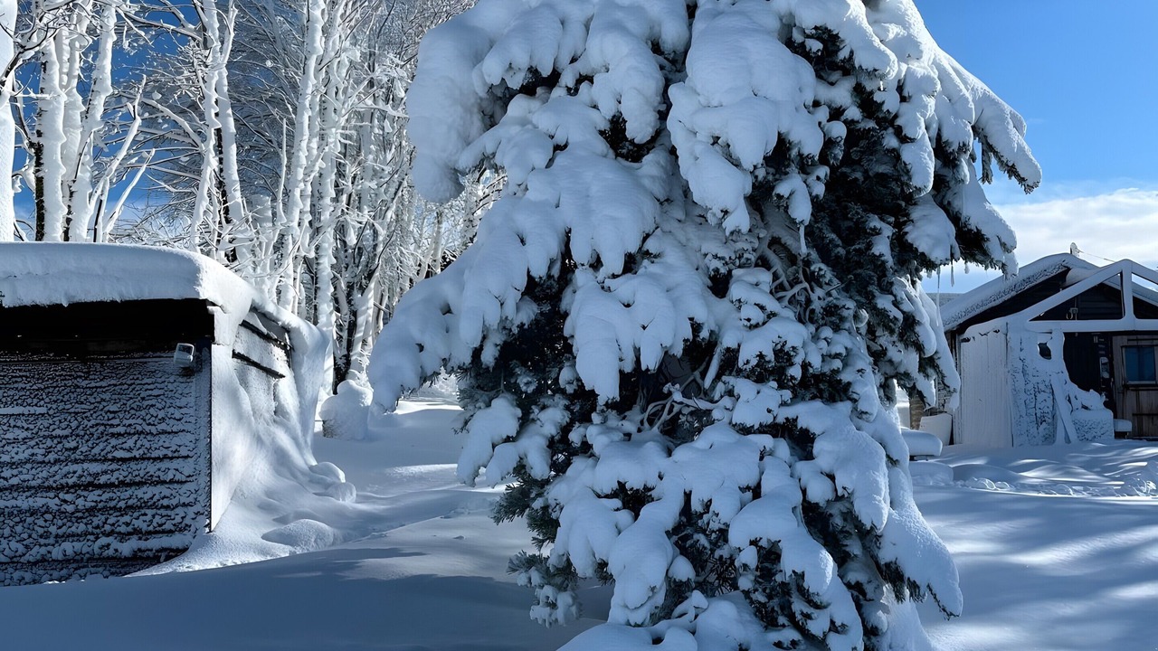Photo of Outdoor in Les Estables