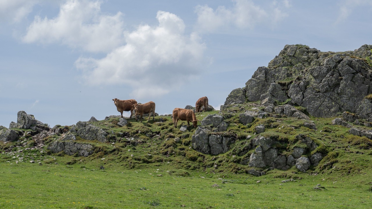 Photo of Others in Les Estables