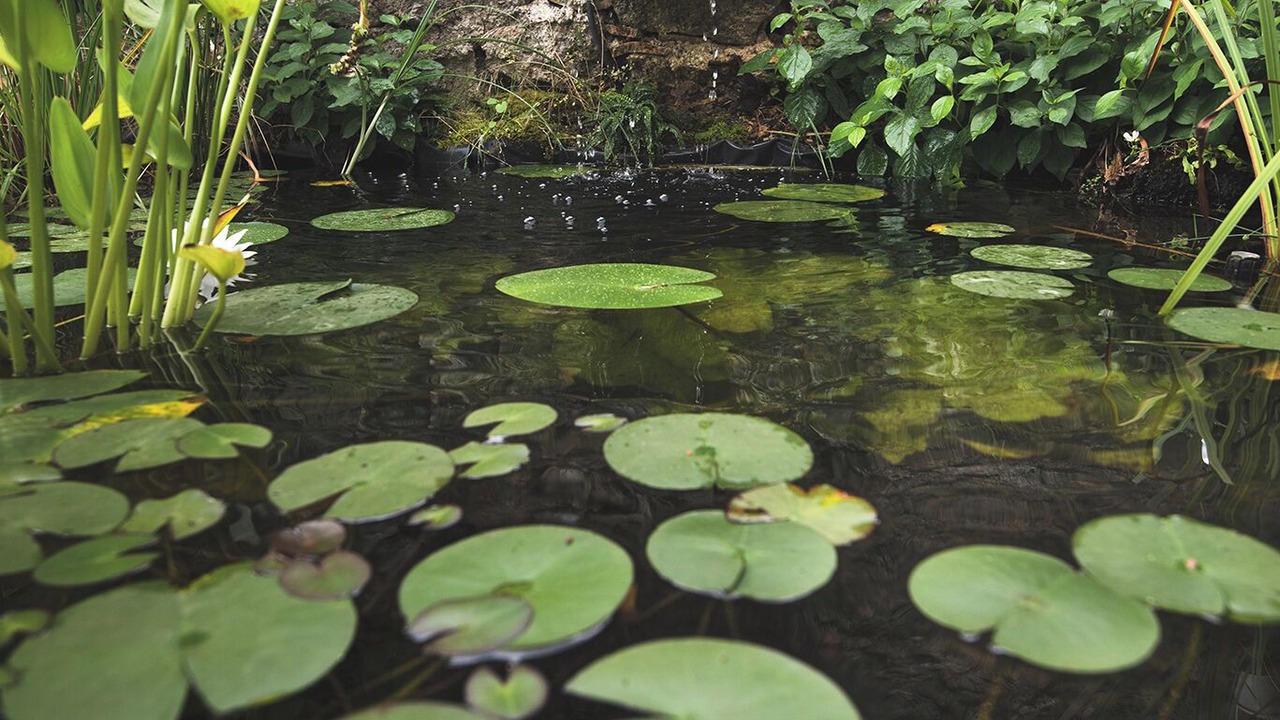 Photo of Outdoor in Lavilledieu