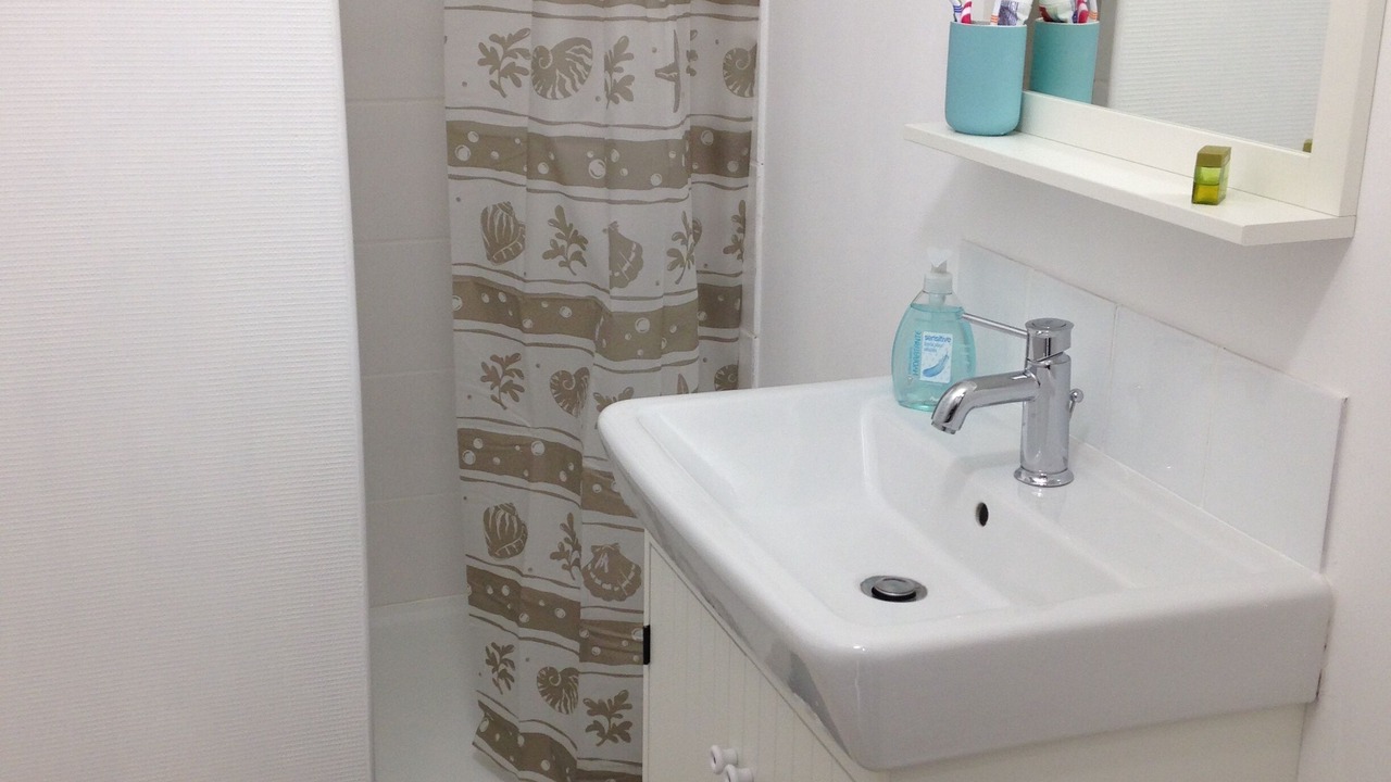 Photo of Bathroom in Lormes