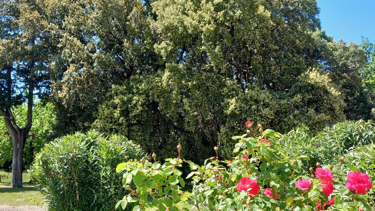 Photo of Outdoor in Valreas