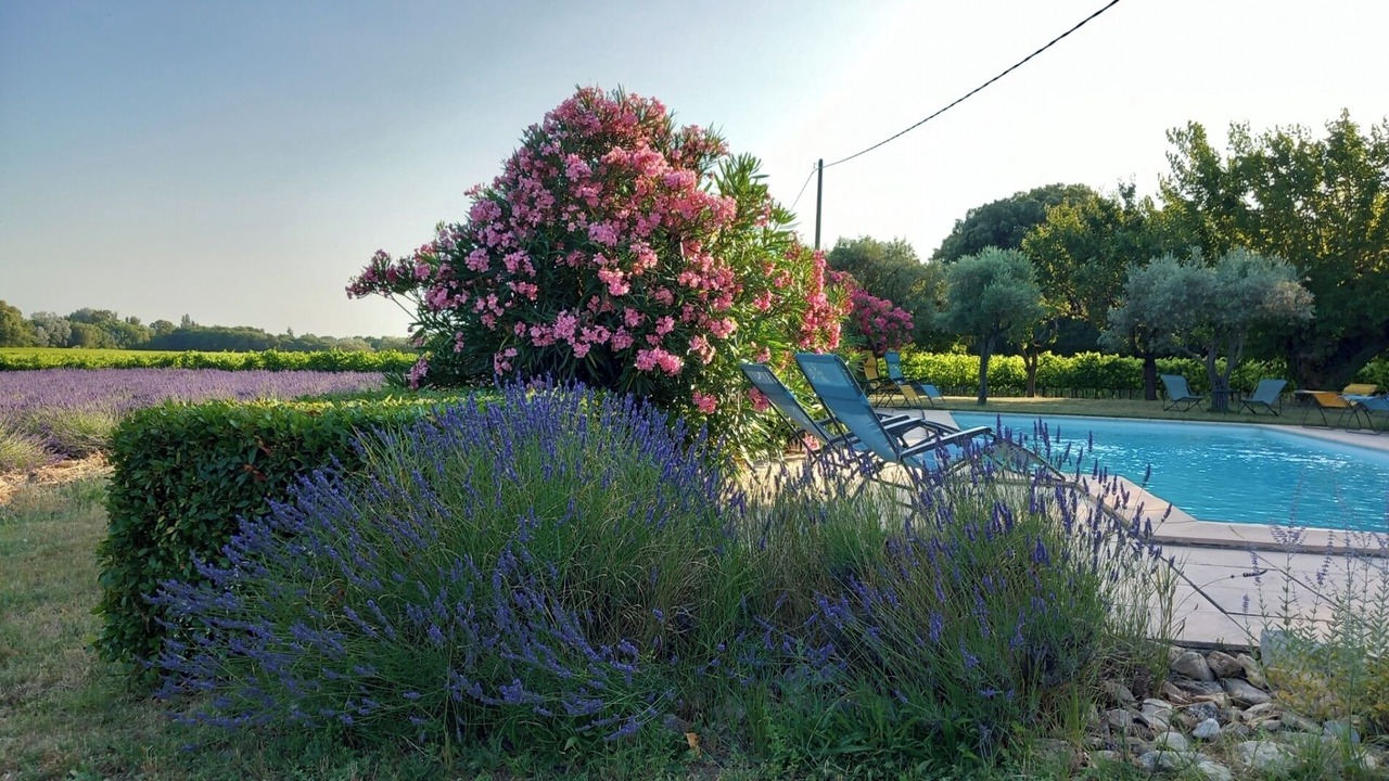Photo of Outdoor in Valreas