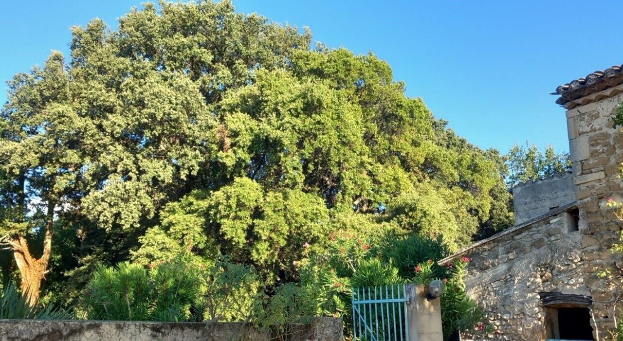 Photo of Outdoor in Valreas