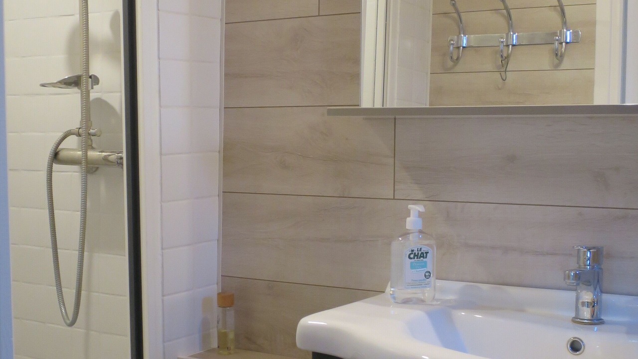 Photo of Bathroom in Saint-Benin-d'Azy