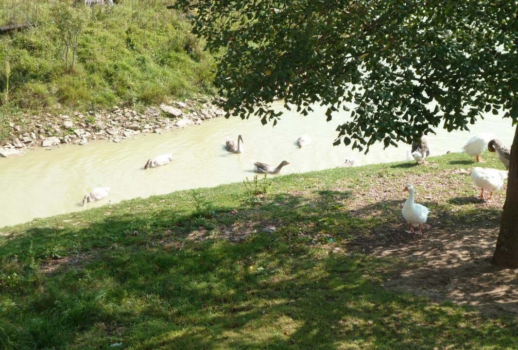 Photo of Others in Hurigny