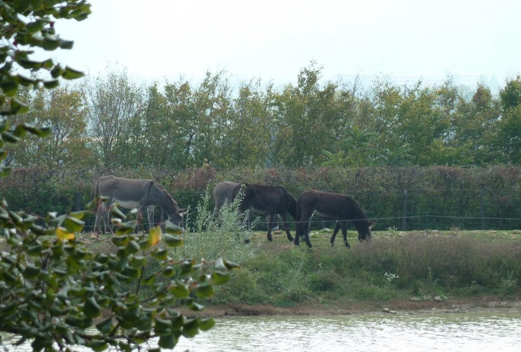 Photo of Others in Hurigny