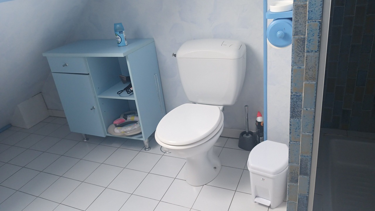 Photo of Bathroom in Saillenard