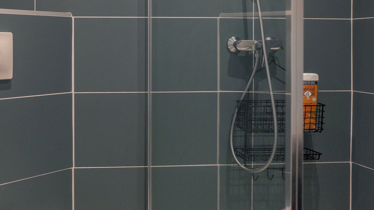 Photo of Bathroom in Larochemillay
