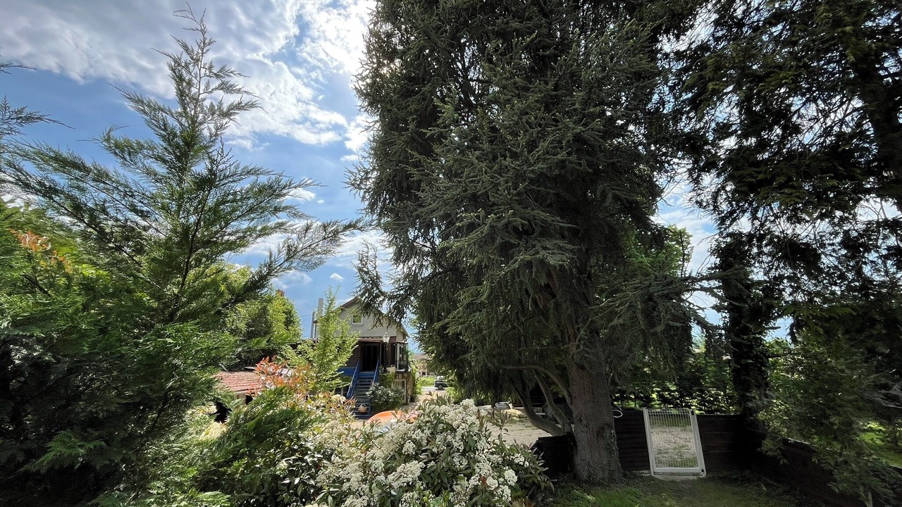 Photo of Outdoor in Malay