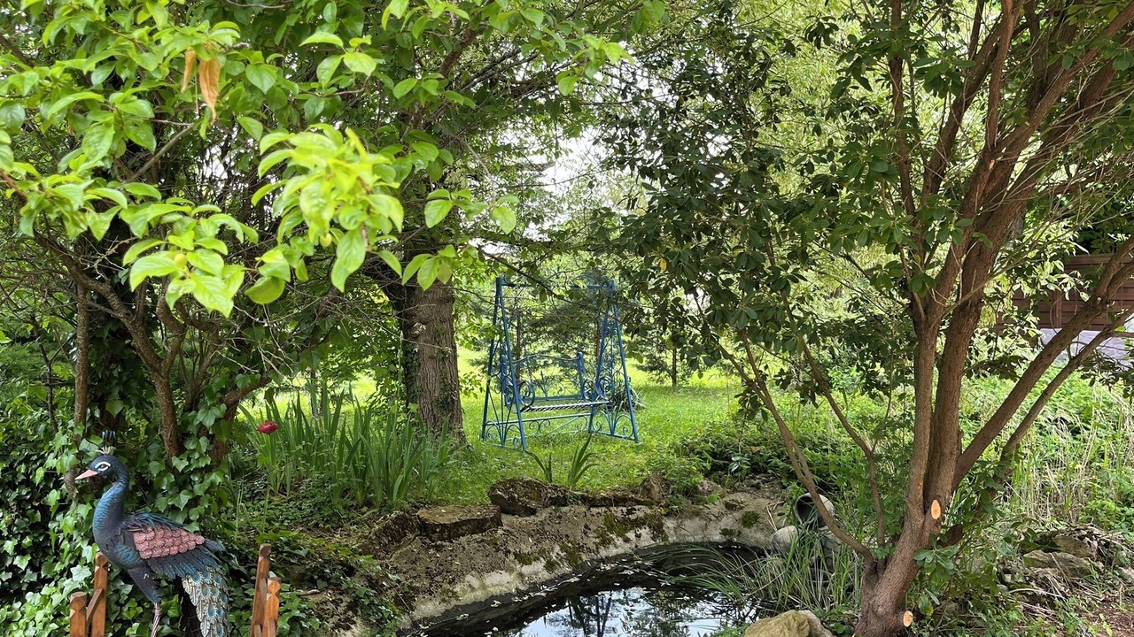 Photo of Outdoor in Cormatin