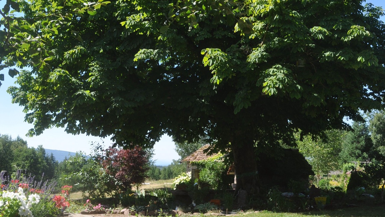 Photo of Outdoor in Faucogney-et-la-Mer