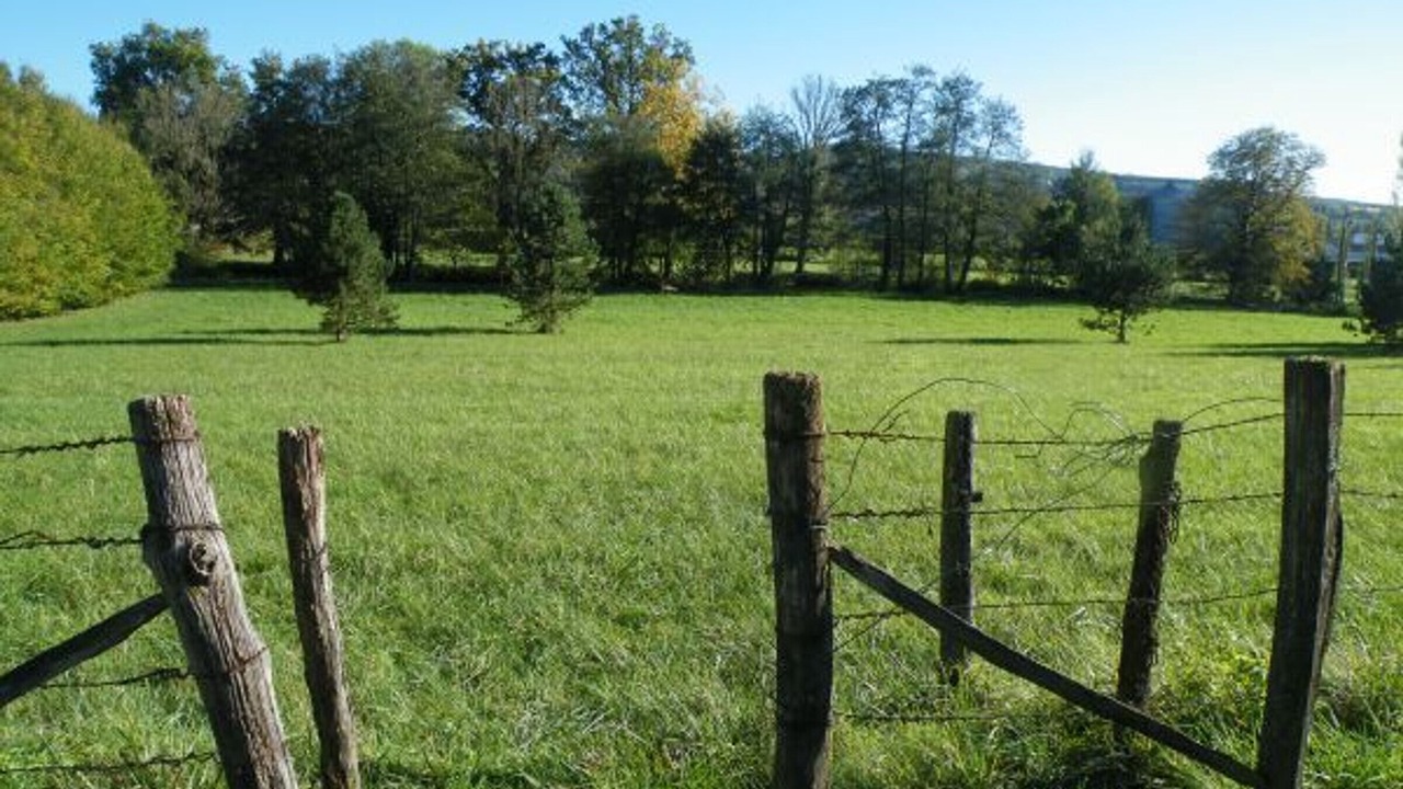 Photo of Outdoor in Gy