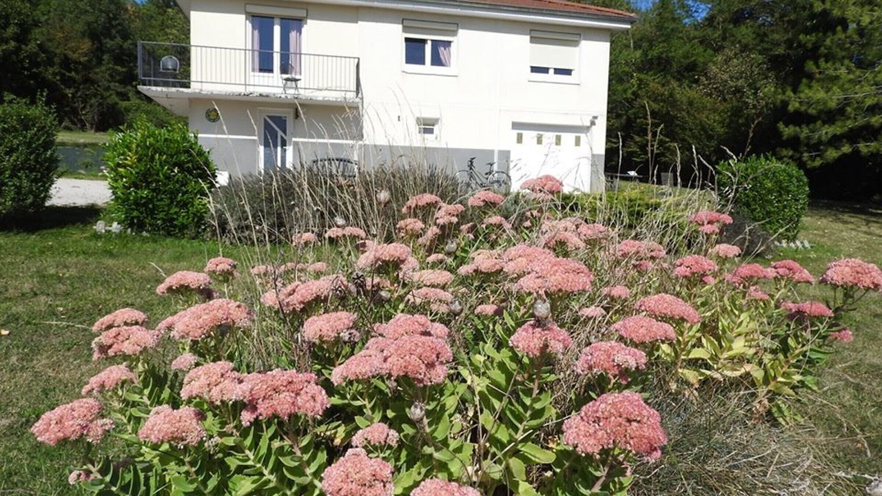 Photo of Outdoor in Gy