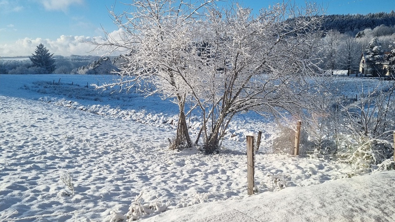 Photo of Others in Girmont-Val-d'Ajol
