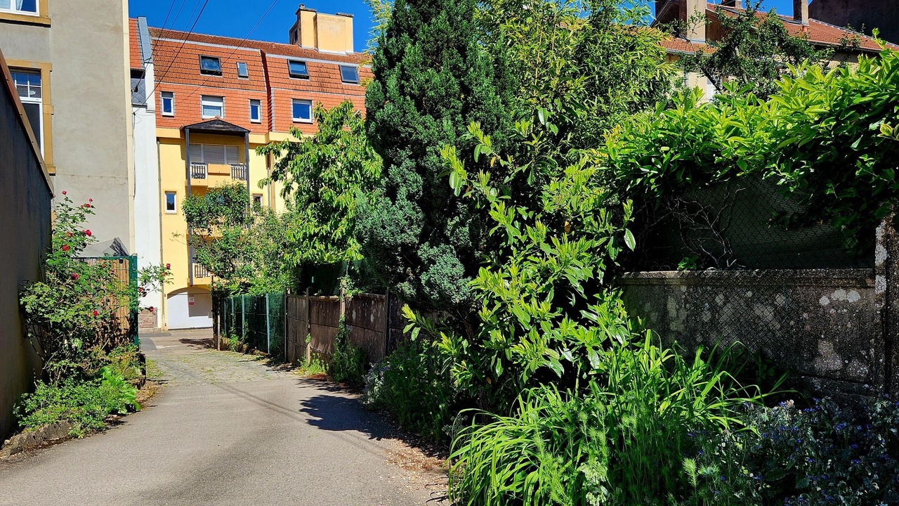 Photo of Outdoor in Plantieres Queuleu