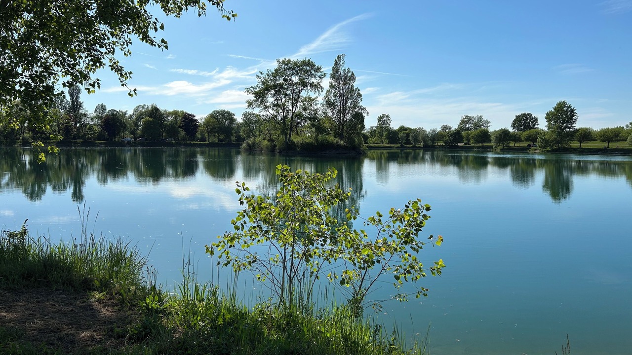 Photo of Others in Annoire