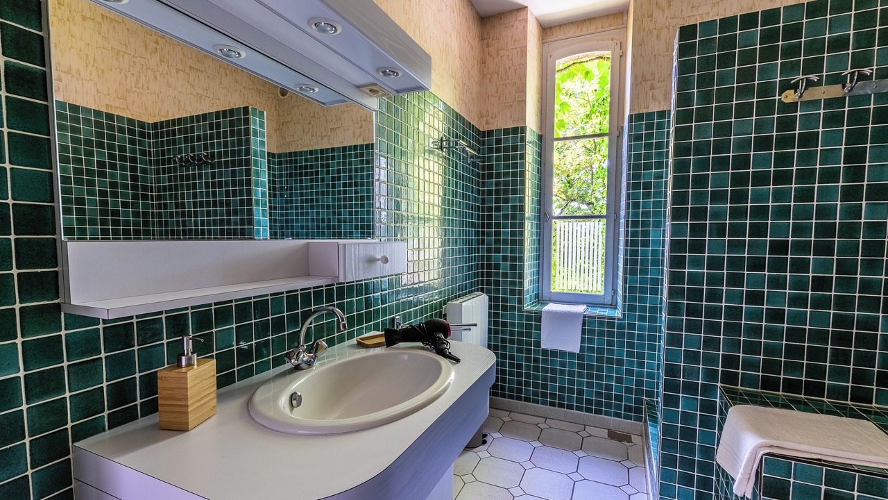 Photo of Bathroom in Val Marnaysien