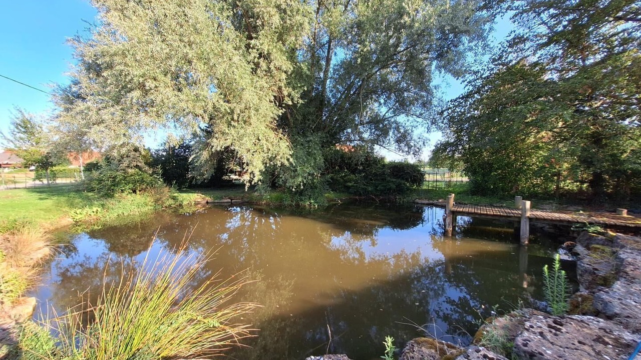 Photo of Others in Sornay