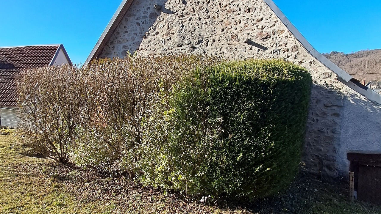 Photo of Outdoor in Champs-sur-Tarentaine-Marchal