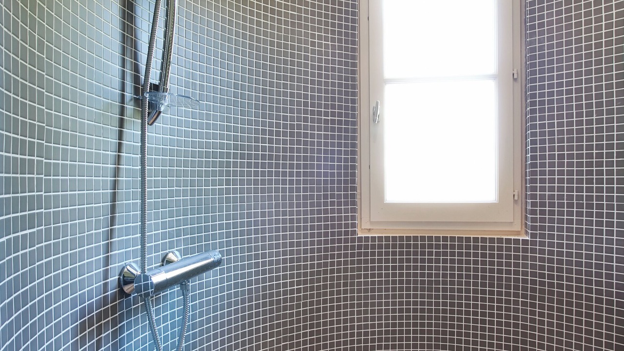 Photo of Bathroom in Lans