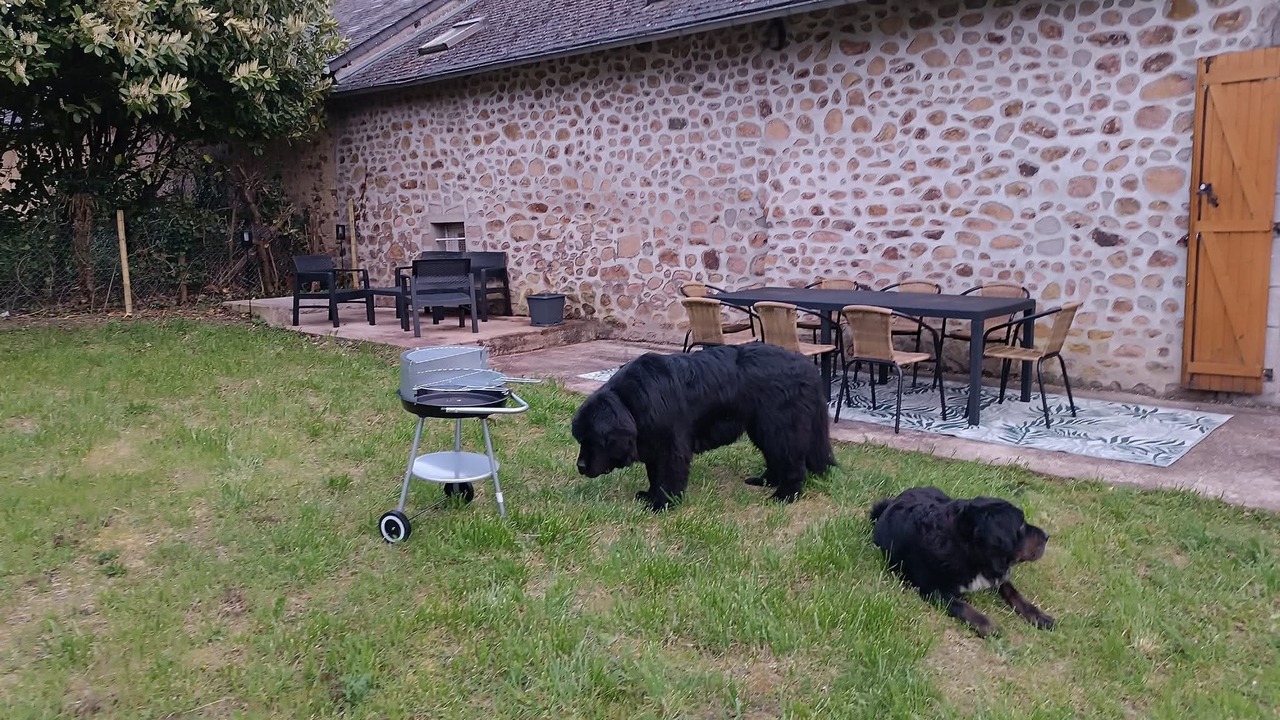 Photo of Outdoor in Montigny-en-Morvan