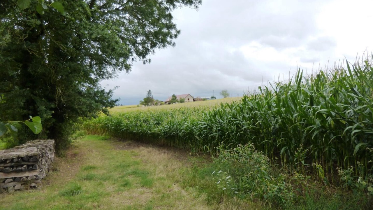 Photo of Others in Mouthier-en-Bresse