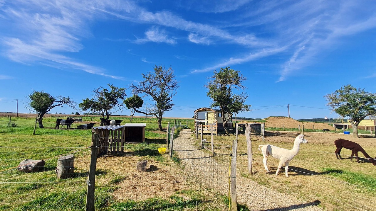 Photo of Others in Burthecourt-aux-Chenes