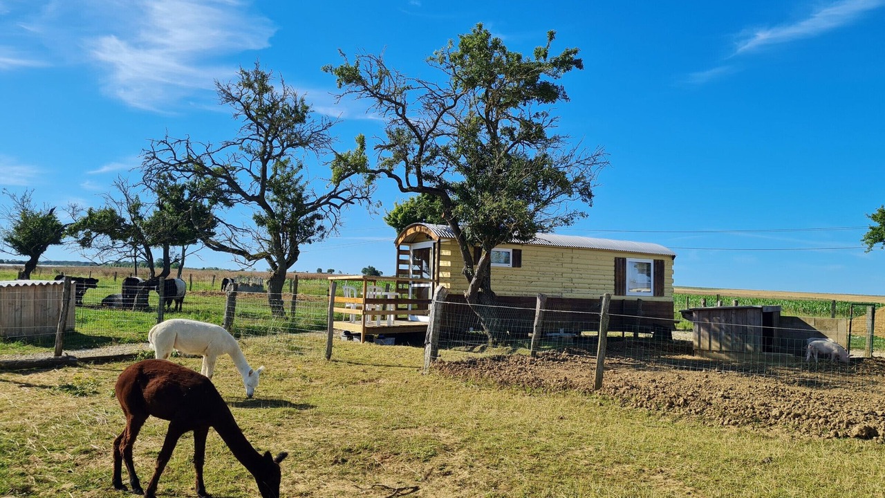 Photo of Outdoor in Burthecourt-aux-Chenes
