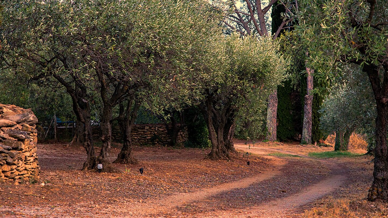 Photo of Others in Saint-Hippolyte-le-Graveyron