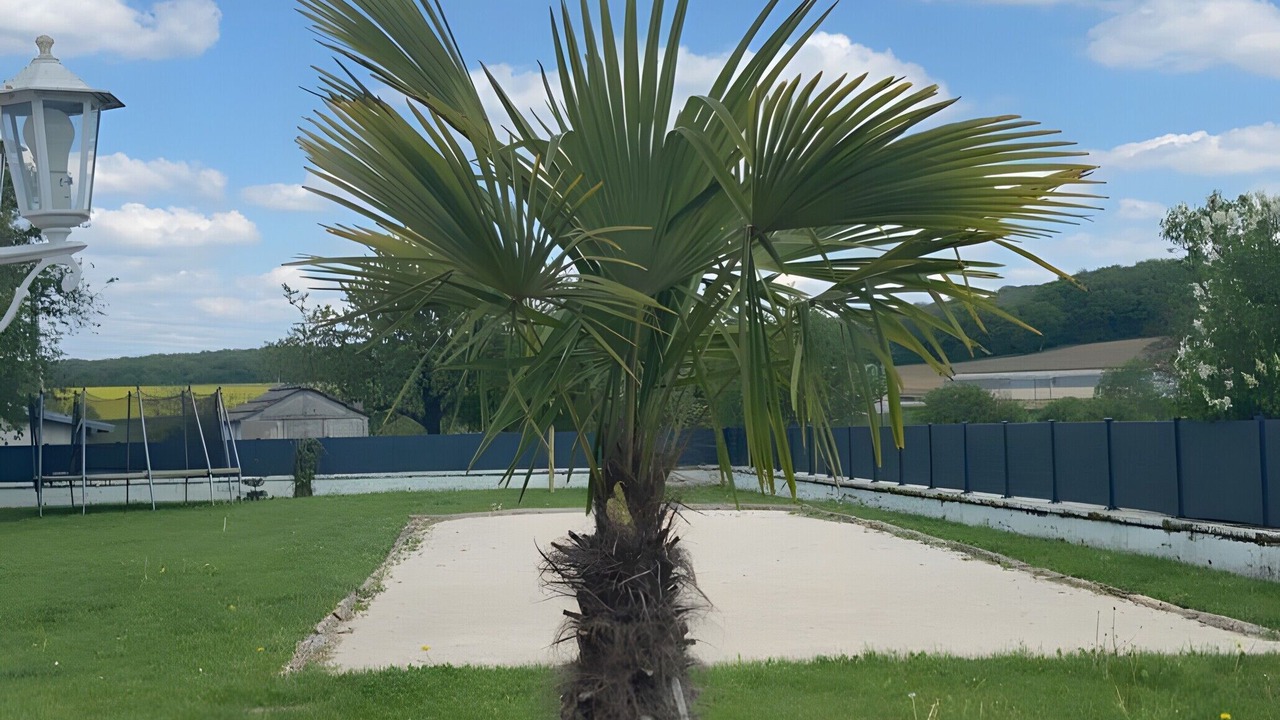 Photo of Outdoor in Gevigney