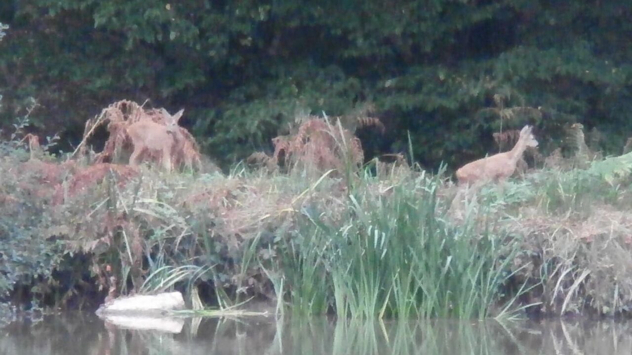 Photo of Others in Mornay