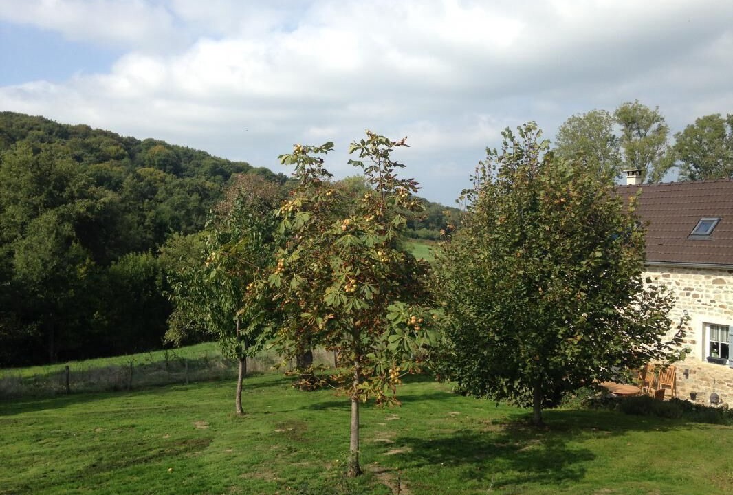 Photo of Outdoor in Pouilloux