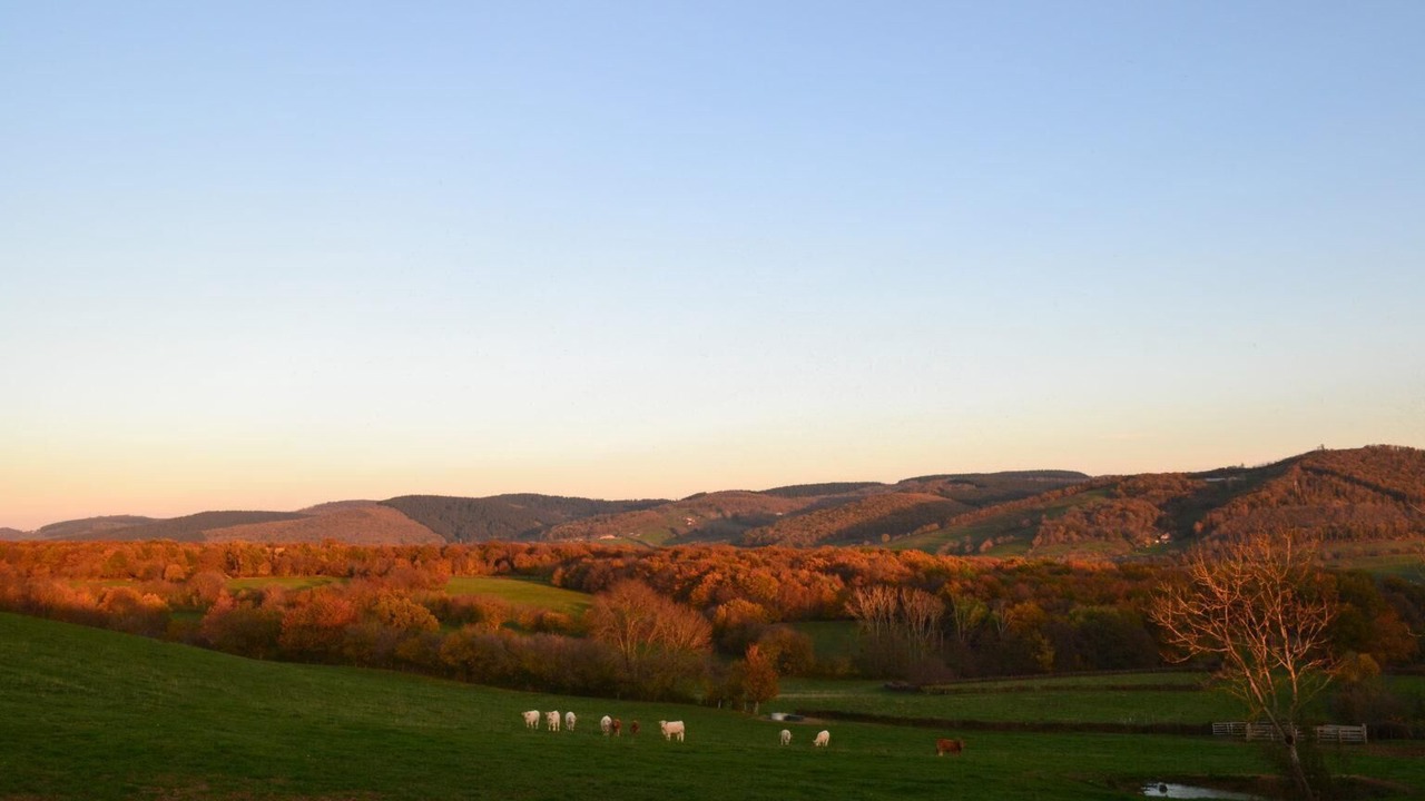 Photo of Others in Jalogny