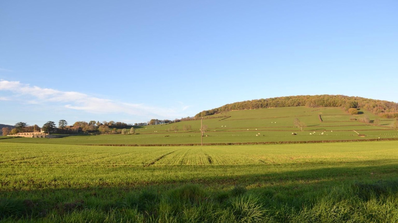 Photo of Others in Jalogny