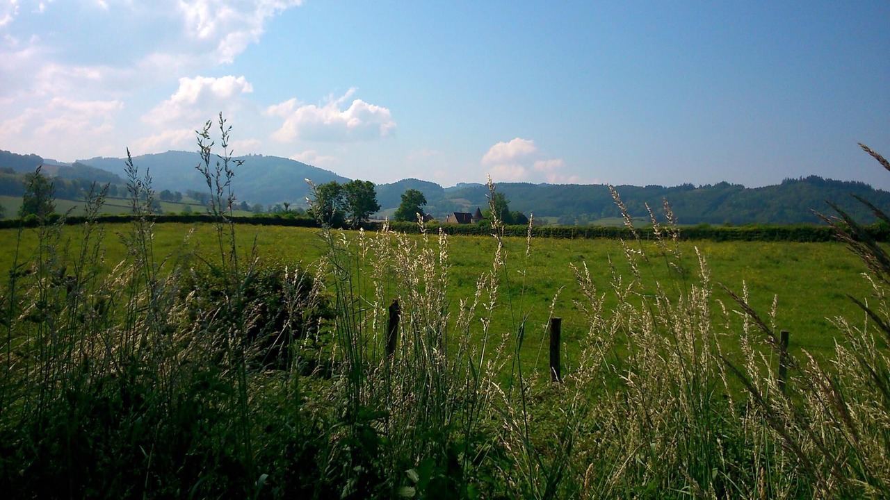 Photo of Others in Colombier-en-Brionnais