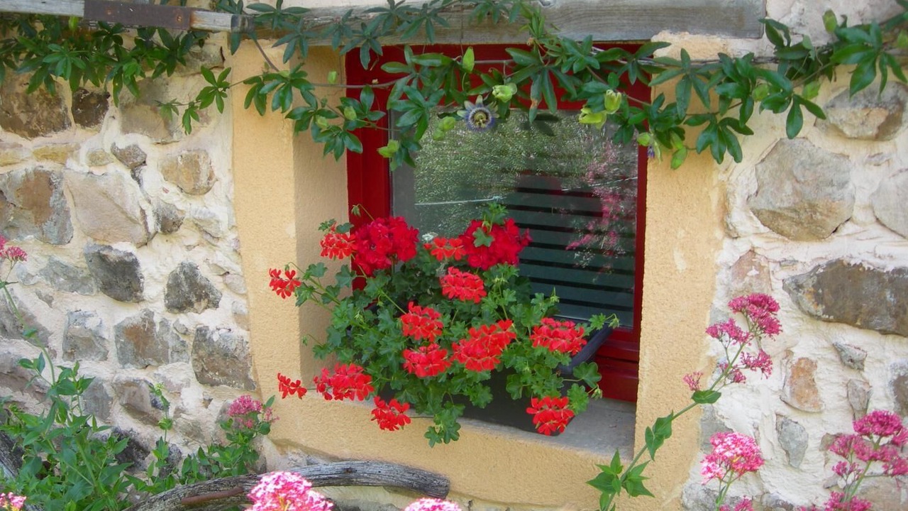 Photo of Outdoor in Colombier-en-Brionnais